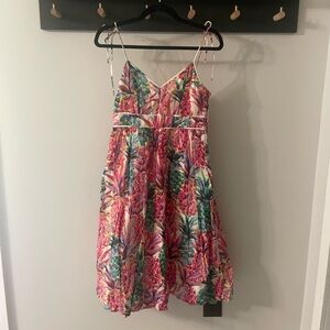 J Crew Dress - Size 00